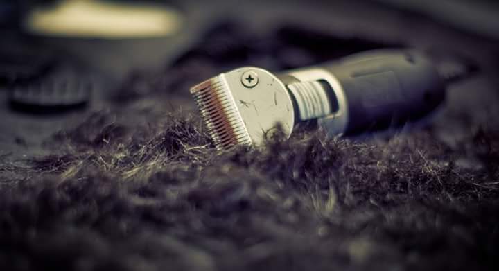 M Hair Salon