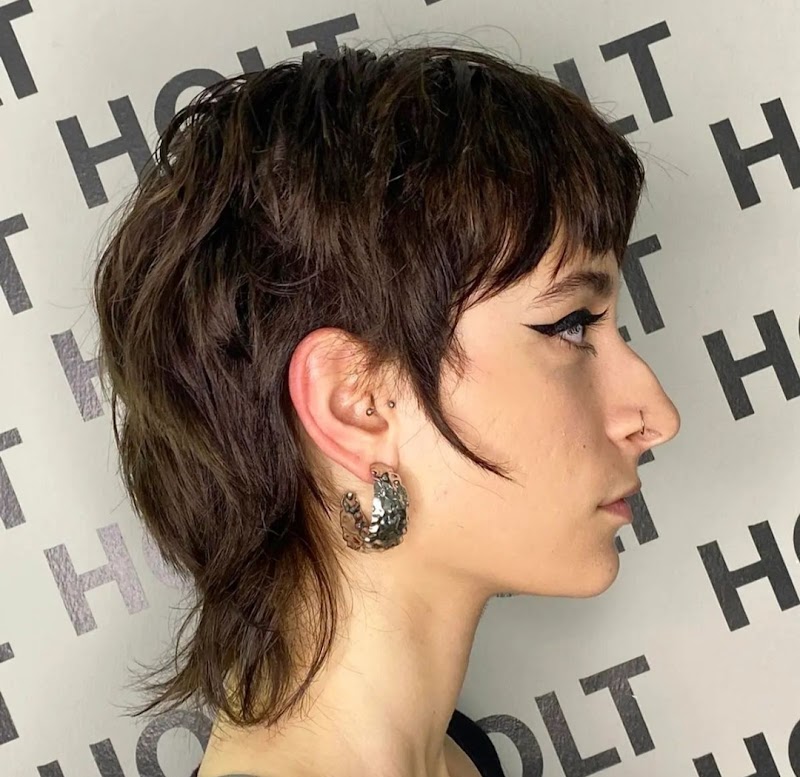 Holt HairLab