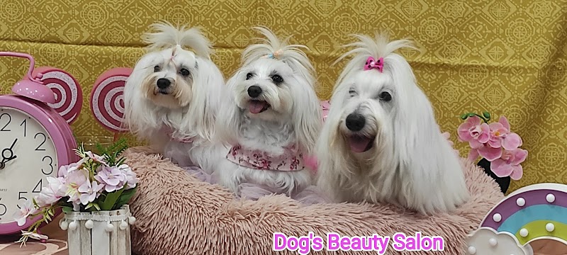 Dog's Beauty Salon κομμωτήριο σκύλων