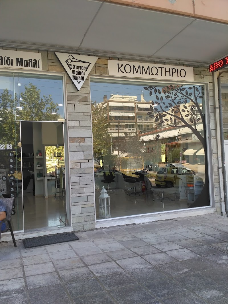 Κομμωτήριο Χτένα Ψαλίδι Μαλλί