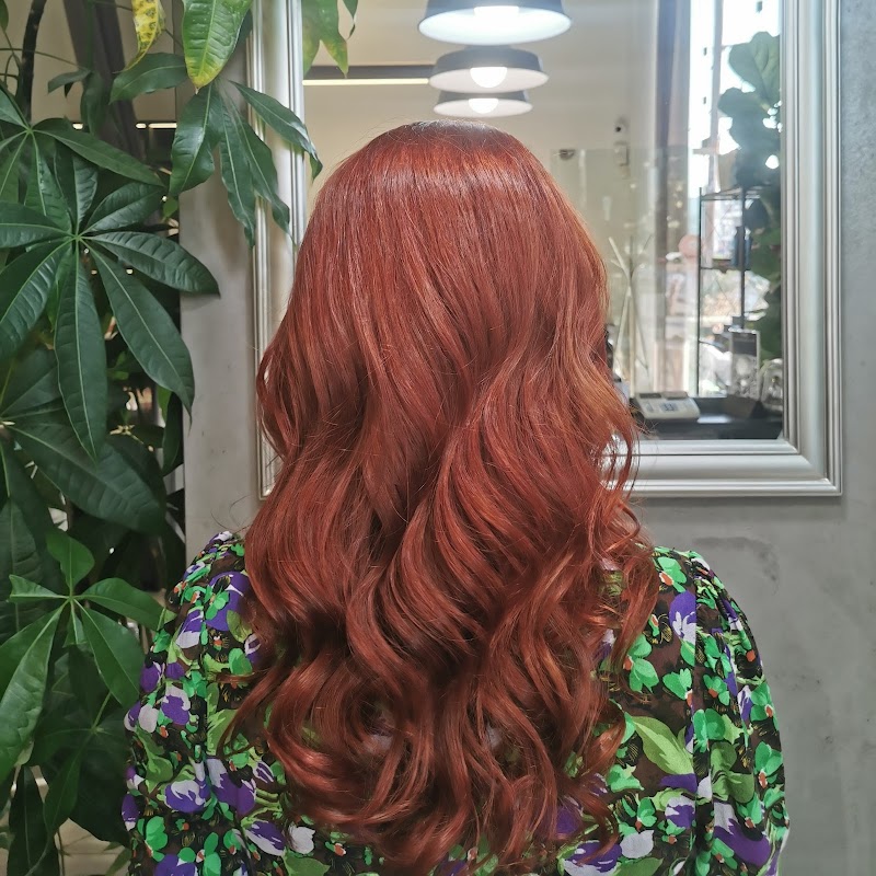 SNIP Professionals