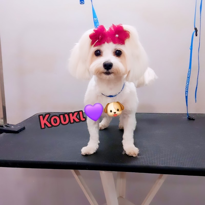 Pet Grooming Vagia