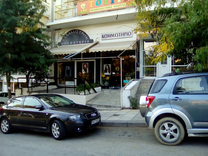 ΚΑΛΑΜΙΣΤΡΟΝ